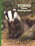 Towns Down Underground – All about badgers, termites, and prairie dogs… from National Geographic Books.